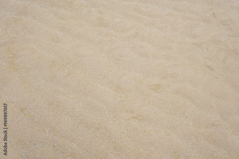 Fototapeta premium natural fine sand texture on beach