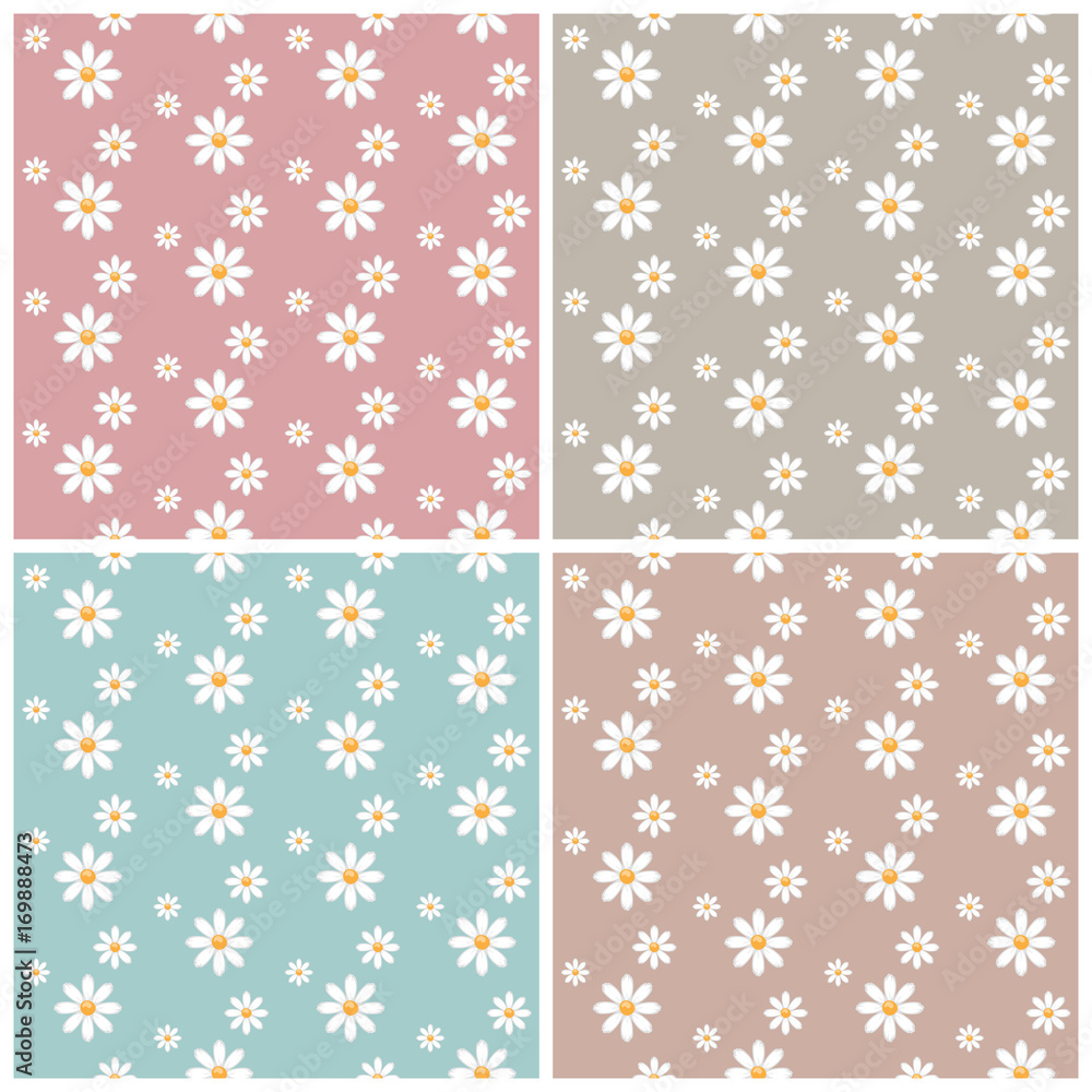 Set of seamless white daisy flowers patterns, vector illustration.