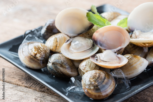 Fényképezés Fresh enamel venus shell edible saltwater clams