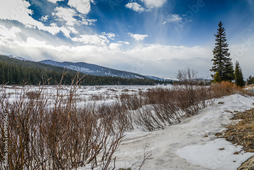 Wallpaper Mural winter day  Torontodigital.ca