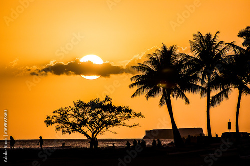 Golden Hawaiian Sunset in Honolulu, Oahu, Hawaii © Lindsay