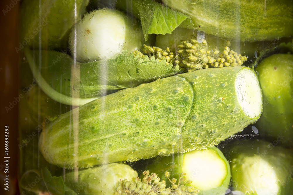 Salted cucumber with herbs in brine closeup