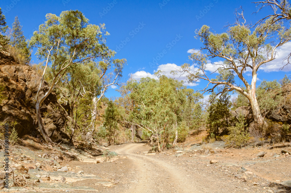 Dirt road in the dry Bunyeroo Gorge of Wilpena Pound - Flinders Ranges, SA, Australia Dirt road in the dry Bunyeroo Gorge of Wilpena Pound - Flinders Ranges, SA, Australia