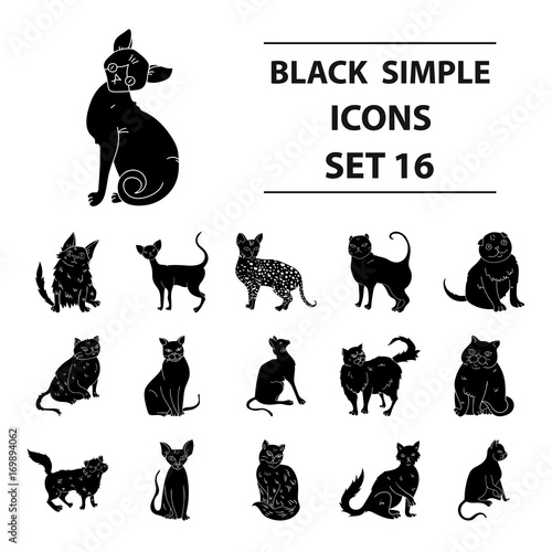 Cat breeds set icons in black style. Big collection of cat breeds vector symbol stock illustration