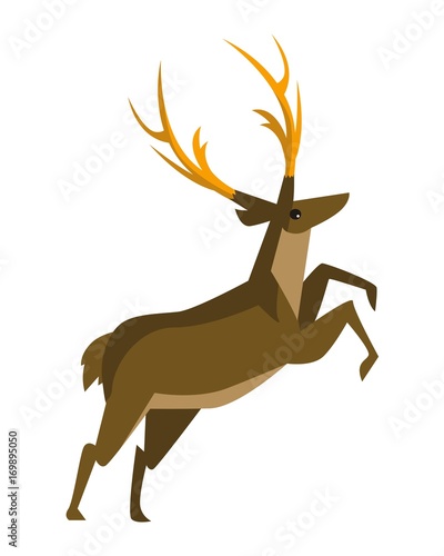 red deer hind