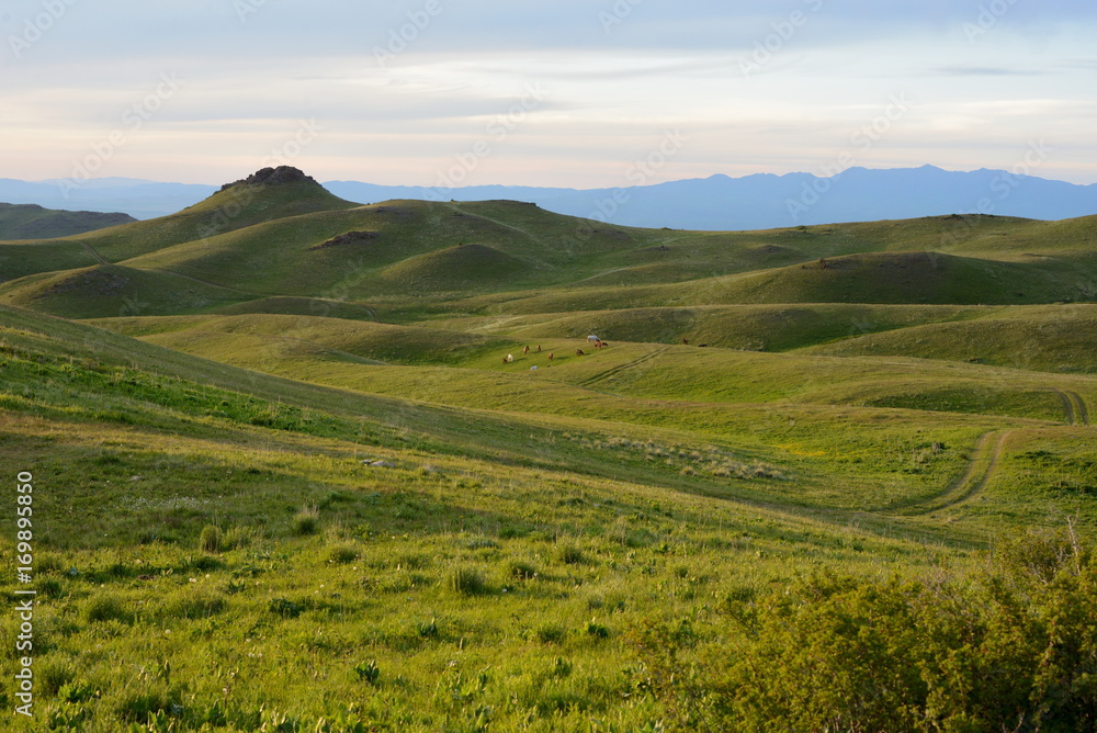 Fototapeta premium Alter-Emel landscape