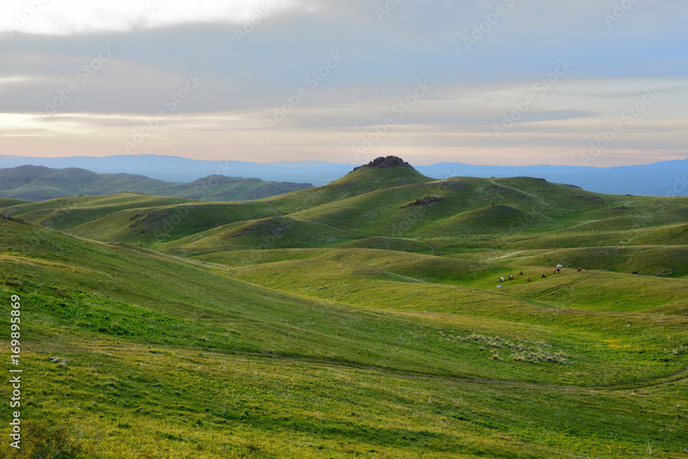 Altyn-Emel landscape
