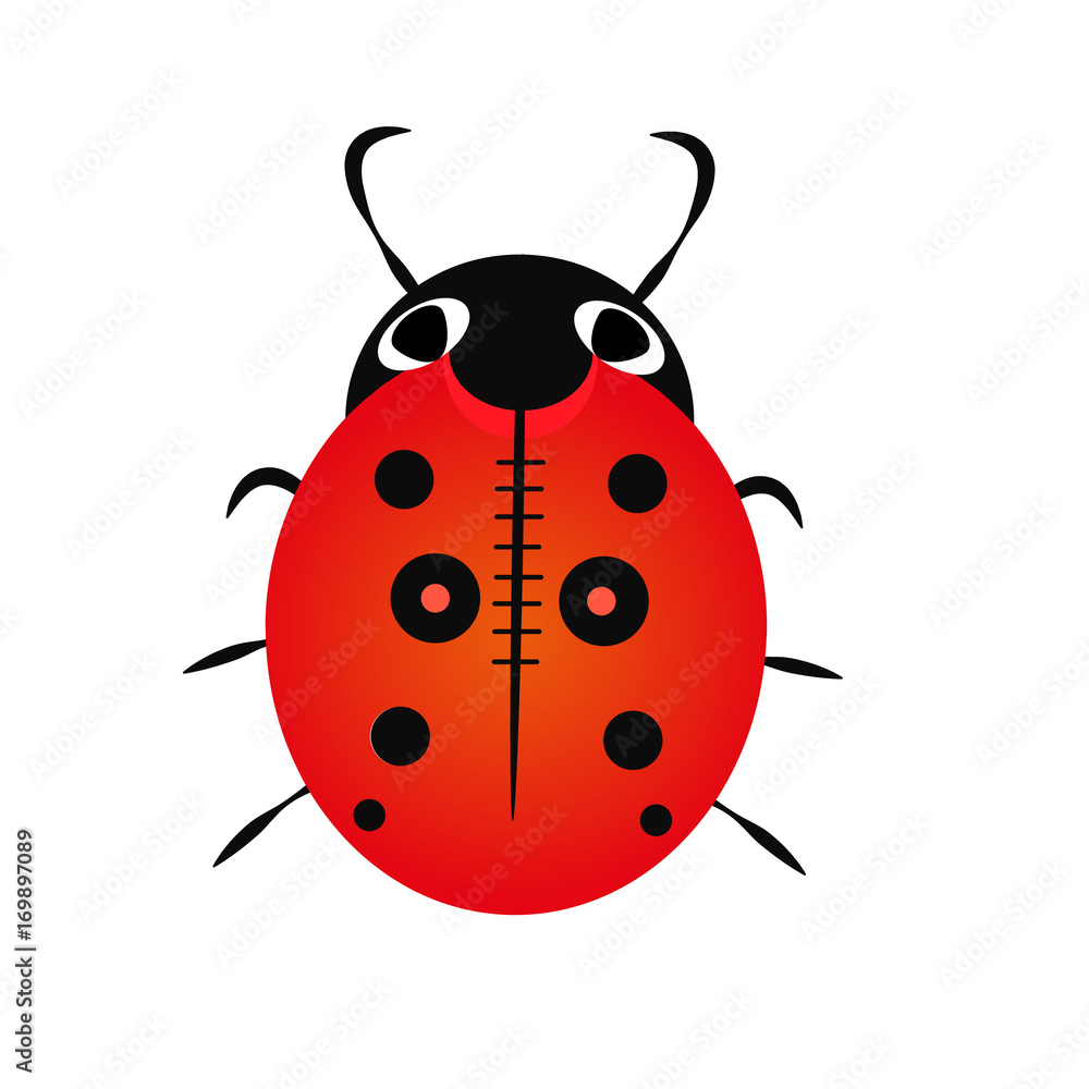 Ladybug isolated on white, vector illustration, eps-10 Ladybug isolated on white, vector illustration, eps-10