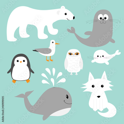 Arctic polar animal set. White bear, owl, penguin, Seal pup baby harp sea lion fox wolf whale albatross seagall. Kids education cards. Cute cartoon character. Blue background Isolated. Flat design.