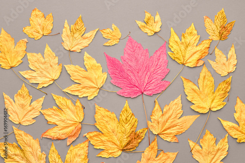 Autumn Fashion Fall Leaves Background. Vintage. Design. Yellow Fall Leaves. Trendy fashion Stylish Concept. Autumn Vintage