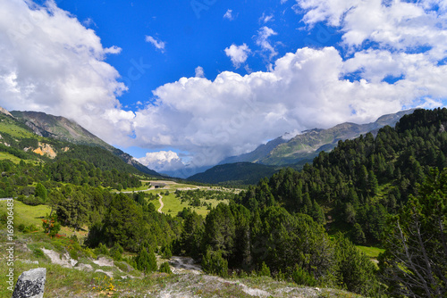 Panoramica di alta montagna con pini e cielo blu 