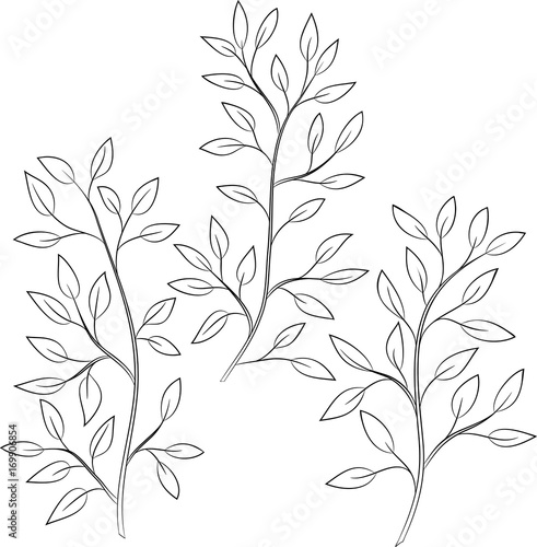 contour vector illustration of tree branch with leaves