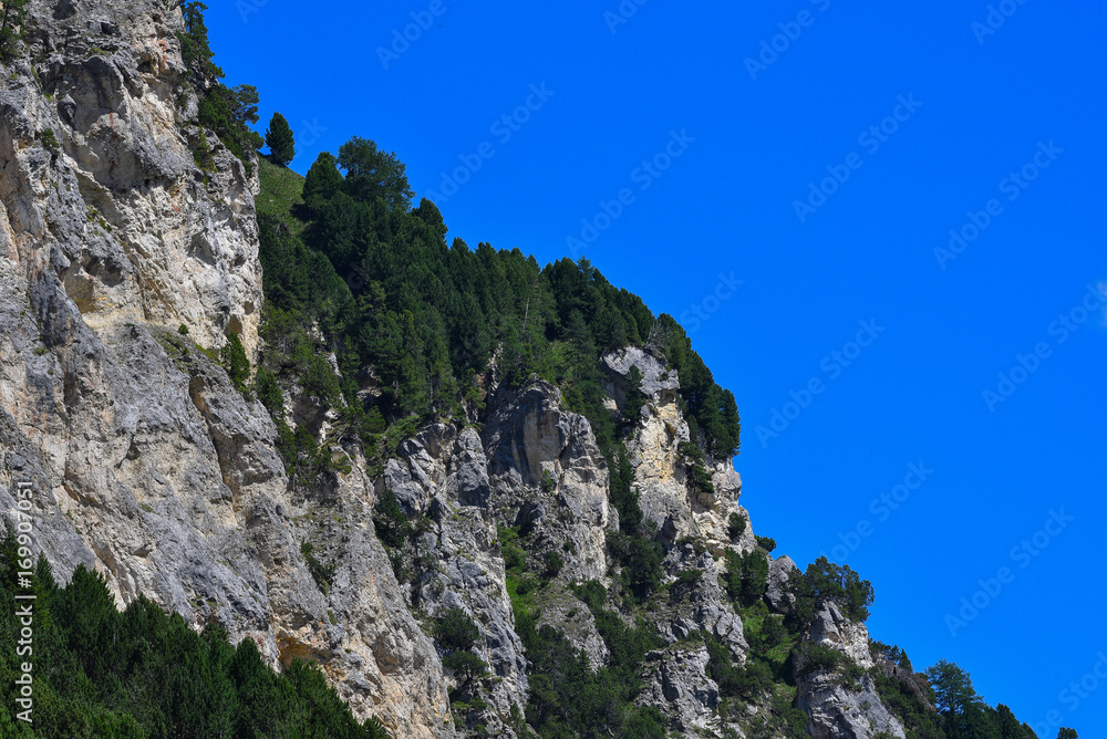 Cima di una montagna con pini verdi e cielo blu