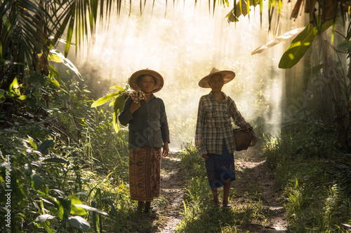 Foto The story of rural people way of life, Karen is with nature on the jungle