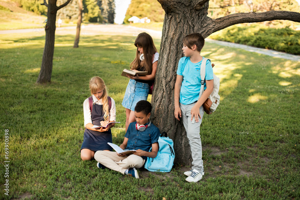 Fototapeta premium multiethnic teenagers studying in park