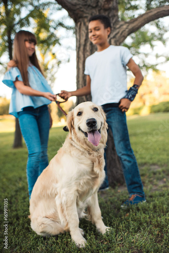 multiethnic teens with dog © LIGHTFIELD STUDIOS