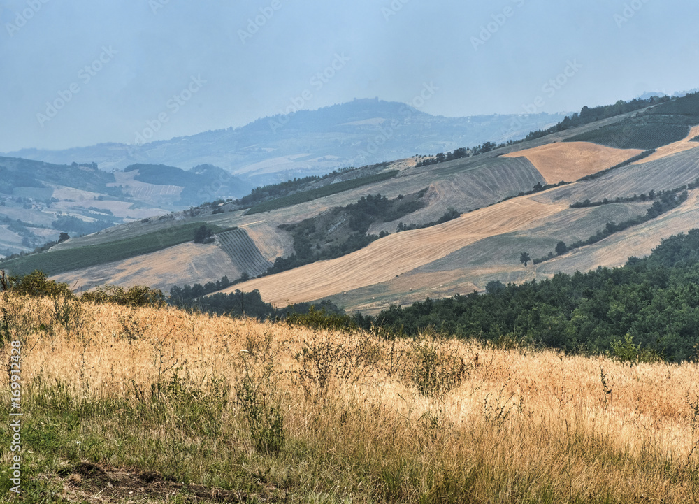 Oltrepo Pavese (Italy), rural landscape at summer