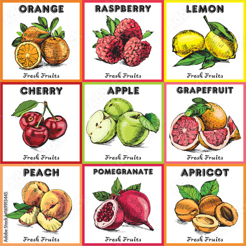 Eco food labels set. Hand drawn color sketch fruits. Farmers market logo. Fresh fruit vintage banner. Vector illustration 