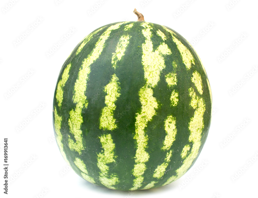 watermelon
