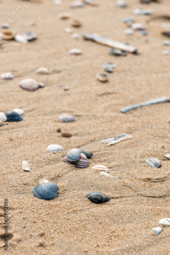 Muschelstrand
