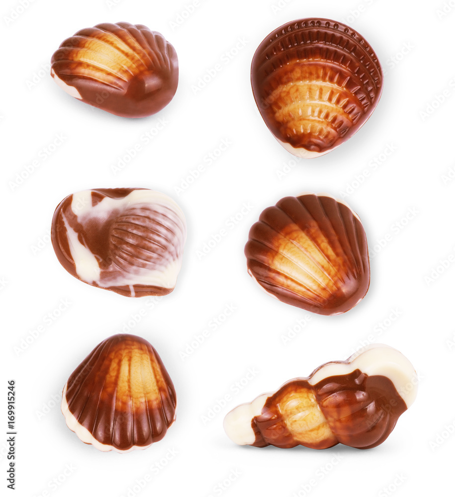 chocolate seashells on white background set chocolate seashells on white background set