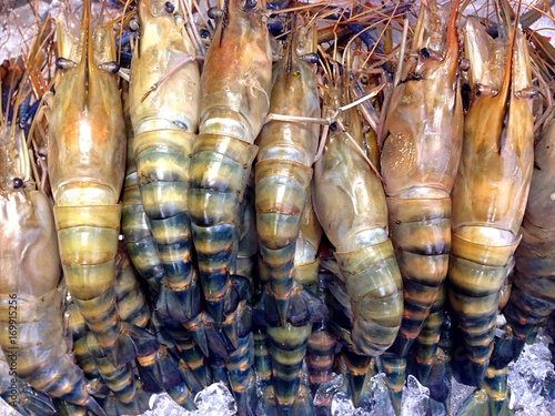 Sea Food Shrimp