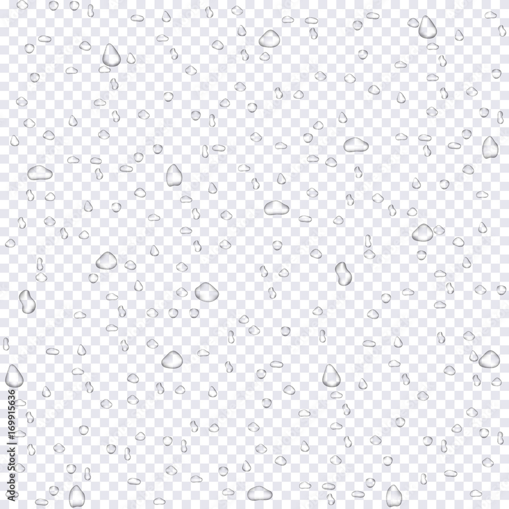 Realistic water rain drops on transparent background Realistic water rain drops on transparent background