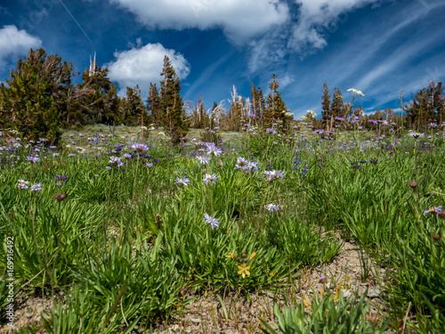 Mount Tallac photo