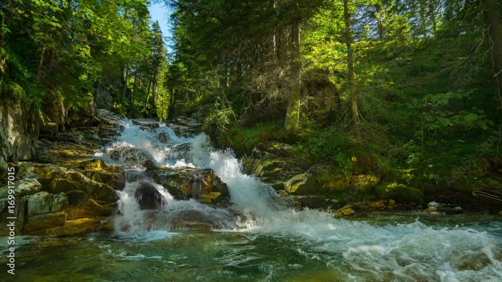 4k nature cinemagraph river with small waterfall in forest with audio
4k nature cinemagraph river with small waterfall in forest with audio