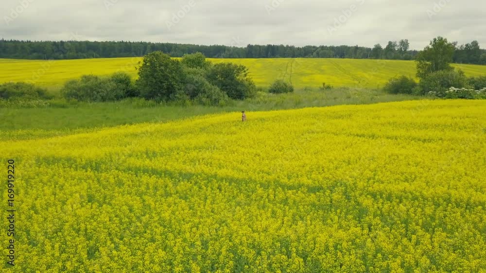 Young woman walking in blossoming field on a summer day Young woman walking in blossoming field on a summer day
