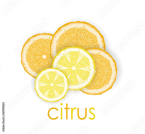 lemon and orange slices on white background