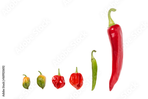 Different Chili Peppers