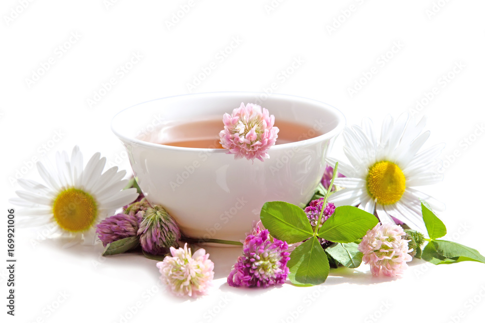 Herbs tea  from curative plants  on white background. Herbal Medicine.