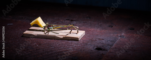 Mouse trpa on the floor