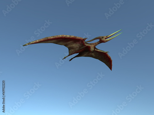 Pteranodon volando