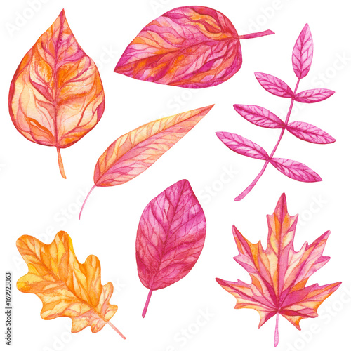 Set of Watercolor Pink and Yellow Leaves