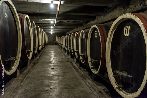 Barrel rows in a winery wine cellar