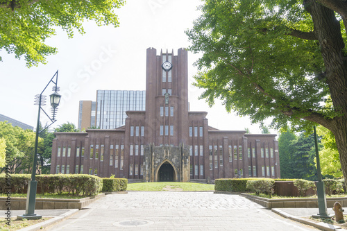 東京大学　安田講堂　春　銀杏並樹 photo