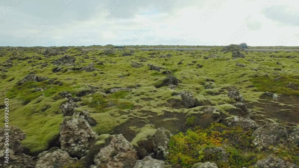 landscape of natural ground in Iceland covered green moss in fall day, near road with moving cars landscape of natural ground in Iceland covered green moss in fall day, near road with moving cars