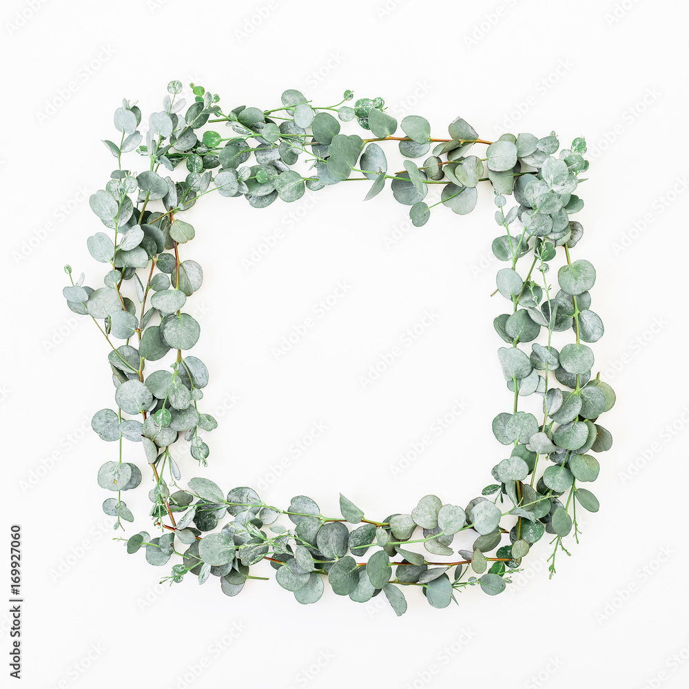 Floral quadratic frame made of eucalyptus isolated on white background. Flat lay, top view Floral quadratic frame made of eucalyptus isolated on white background. Flat lay, top view