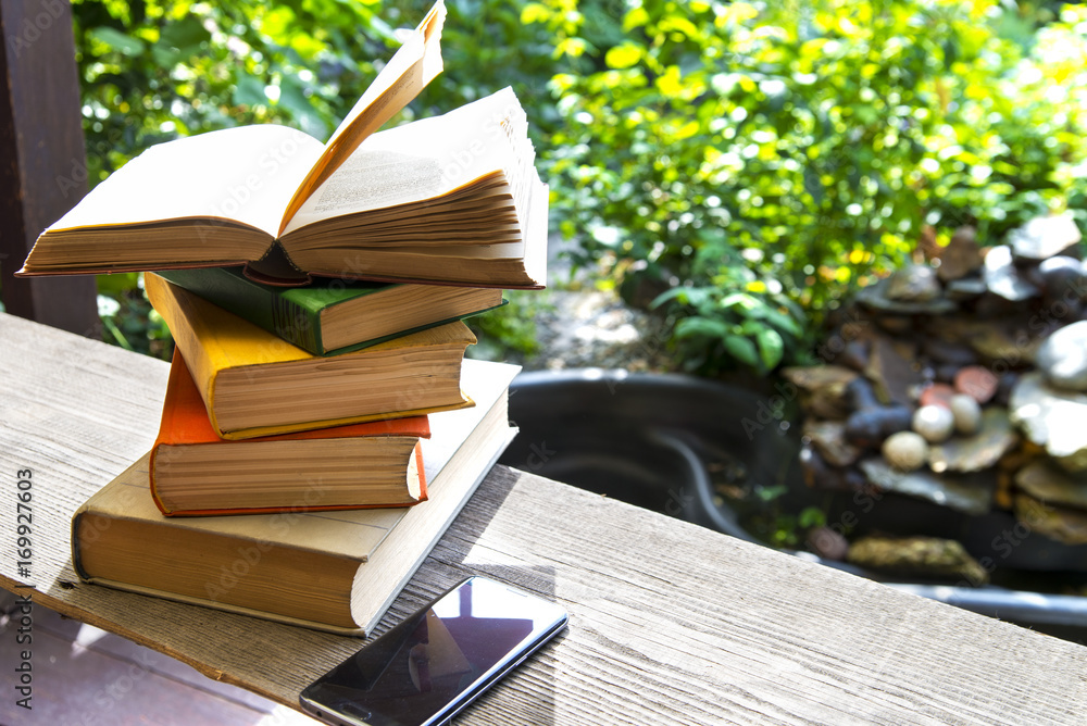 Fototapeta premium books in garden