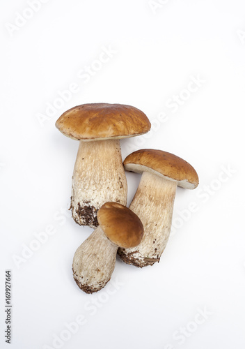 Fresh porcini mushrooms isolated on withe Background