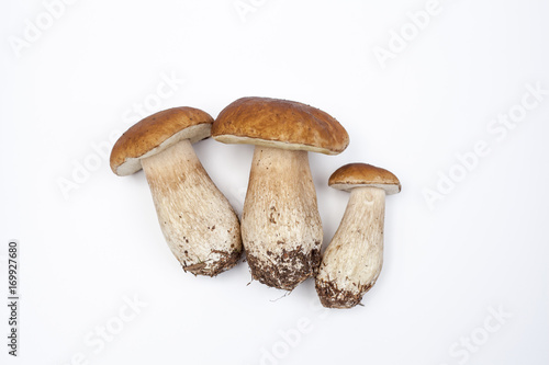 Fresh porcini mushrooms isolated on withe Background