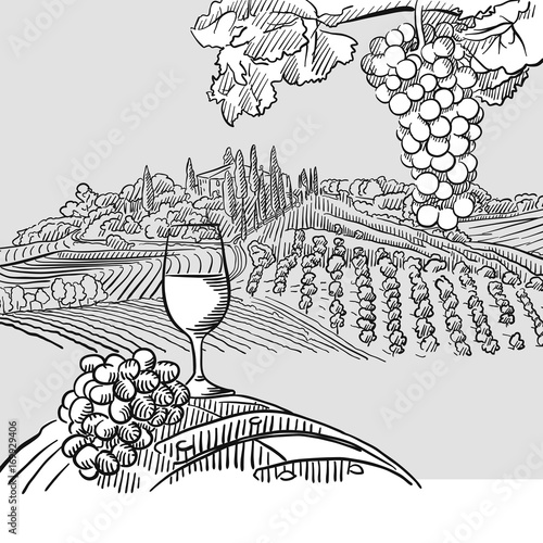 Wine barrel grapes and landscape Illustration