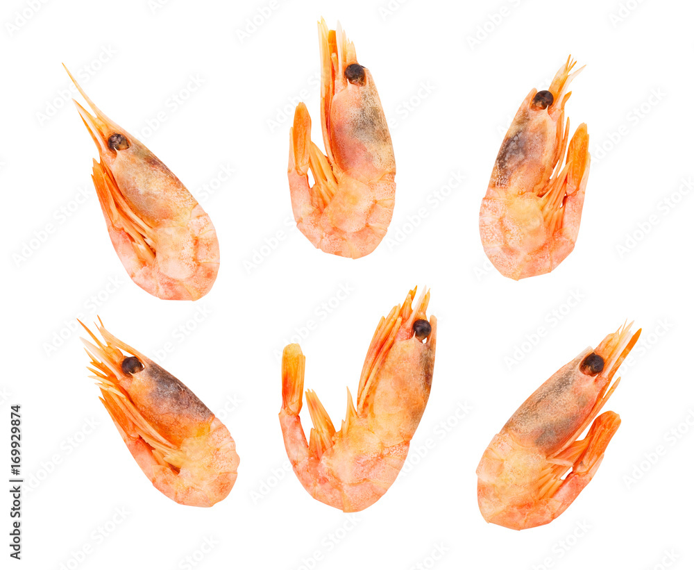 shrimps shrimps