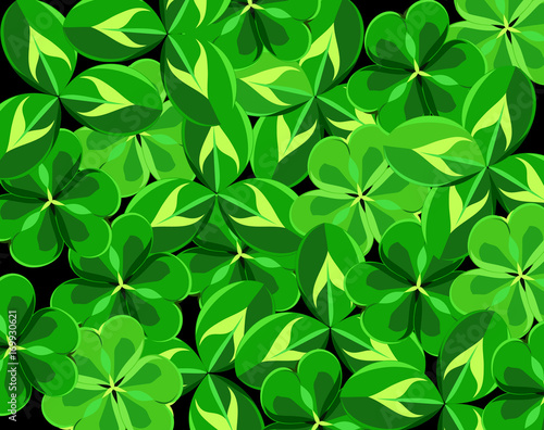 Bright leaves of clover