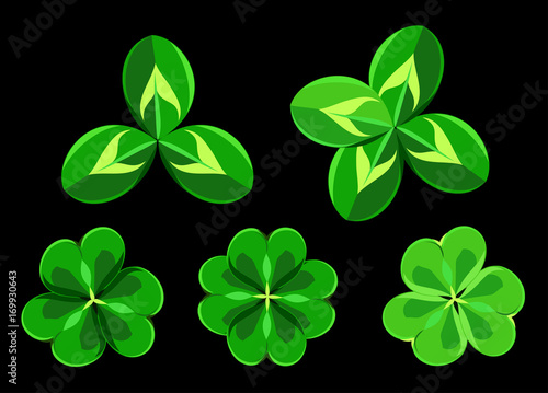 Bright leaves of clover