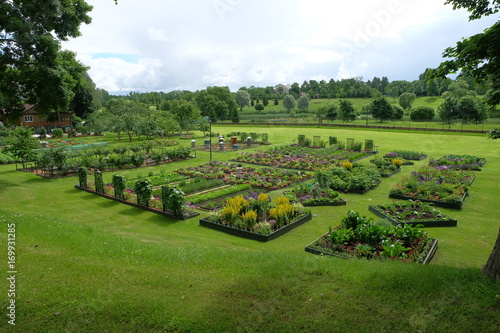 Summer garden in Strelna