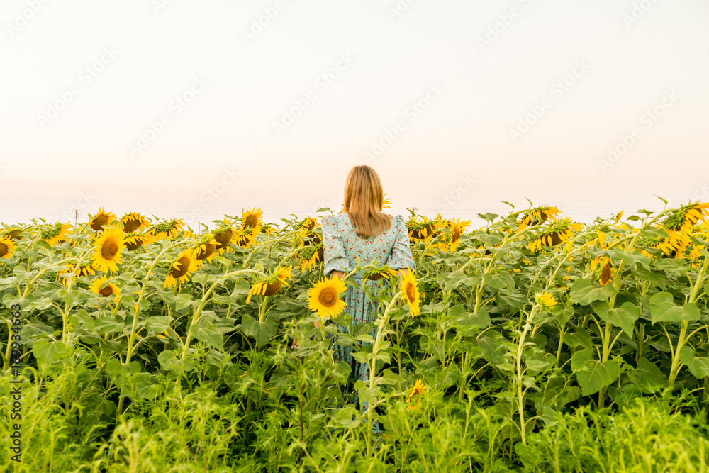 Young blonde model on sunflower field back view Young blonde model on sunflower field back view