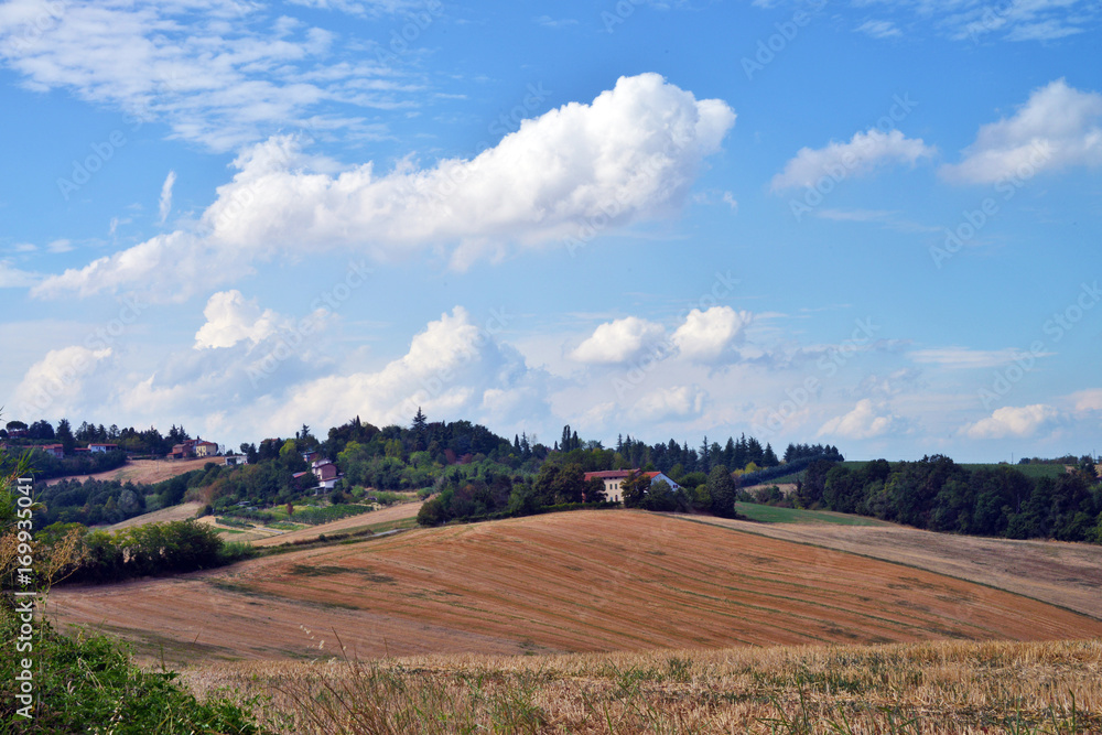 Fototapeta premium panorama del Monferrato, Piemonte, Italia